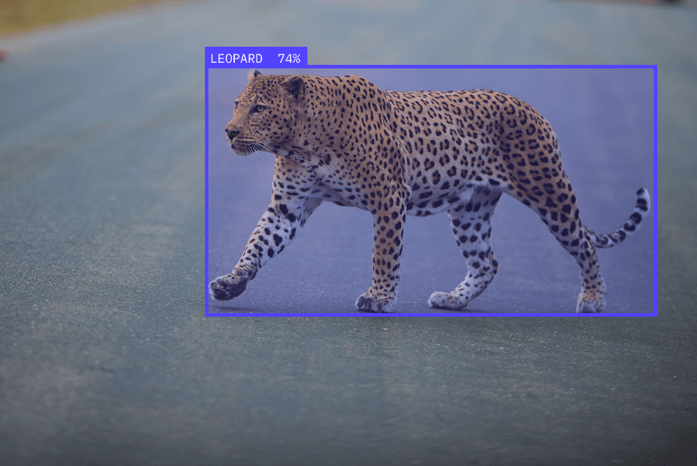 Wildlife Detection Image - Neuronetic Vision AI Surveillance Platform